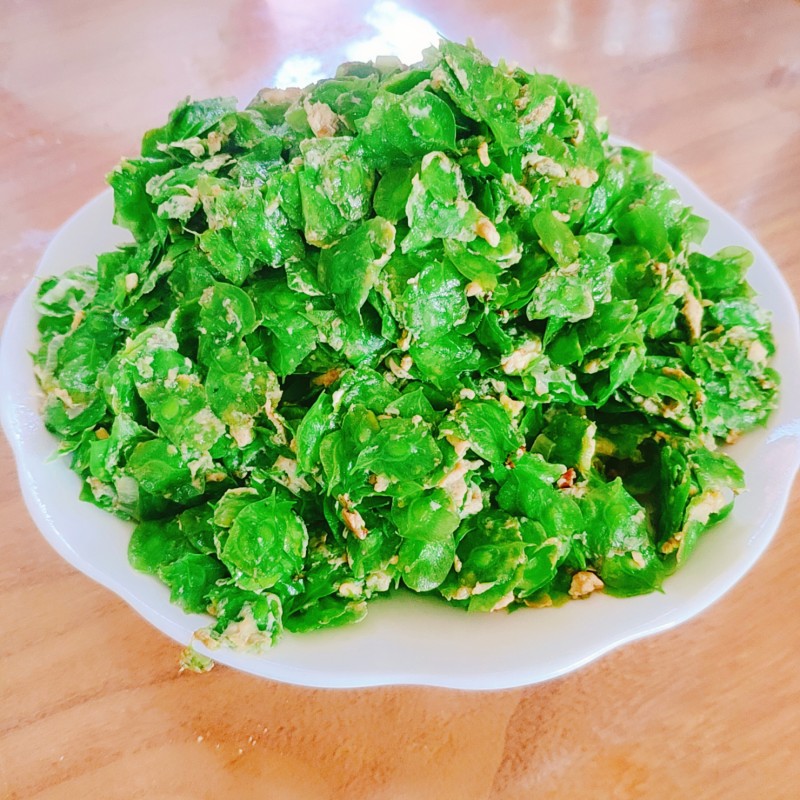榆钱炒鸡蛋的家常做法 榆钱炒鸡蛋怎么做好吃